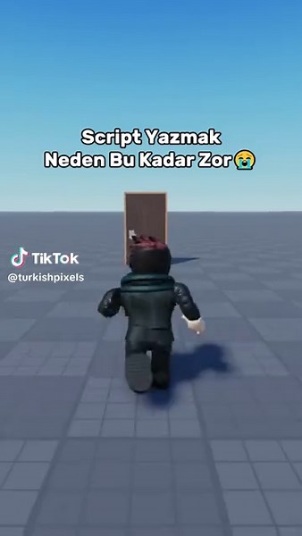 Roblox Scripting and Game Development Insights