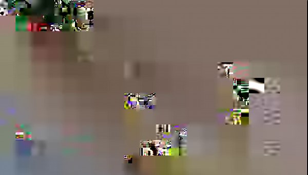 (nl) Ungewöhnliche aber mit "Allrad-Antrieb" ausgestattete Verkehrsteilnehmer waren heute in Neckargerach unterwegs 🐑🐑 | Gemeinde Neckargerach