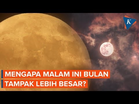 Mengapa Tadi Malam Bulan Tampak Lebih Besar?