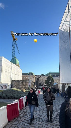 When you traveled miles to visit Buda Castle 🥲 #budapest #budapestguide #buda #foryoupagе #christmasedition