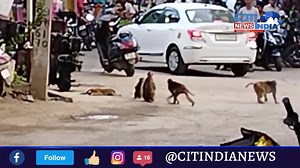 Koratla Monkey Group || Cit India News *To support us subscribe to our YouTube channel* YouTube:https://www.youtube.com/channel/UCgAEqTQcGJZM4bdTH3j9oJA *LIKE & FOLLOW OUR FACEBOOK PAGE* Facebook: https://www.facebook.com/cityindianews *FOLLOW US ON INSTAGRAM* Instagram: https://www.instagram.com/cityindianews/ *FOLLOW US ON TWITTER* Twitter: https://twitter.com/cityindianews ► *Download Our App From Google Playstore* https://play.google.com/store/apps/details?id=com.hackera.citi | City India Ne