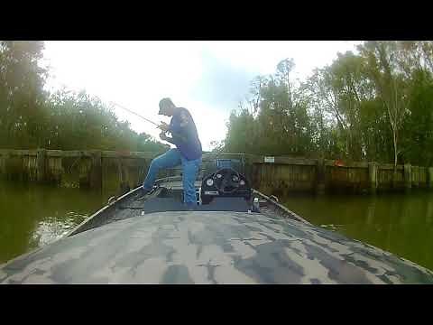 Louisiana Fishing Trip in Bayou Black (Gibson, LA), 11-08-17