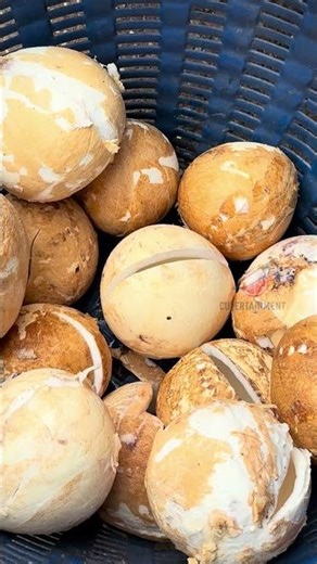 Easy Way to Remove Coconut Shell Machine For Coconut Milk