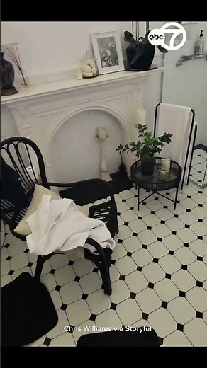 Large Venomous Snake Hides Out in Bathroom Drawer