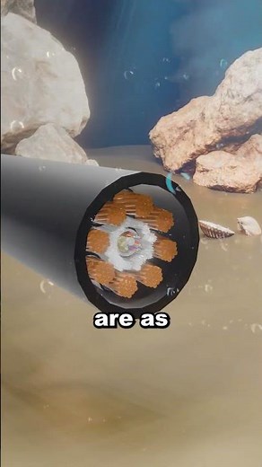 How The Internet Actually Works 😱