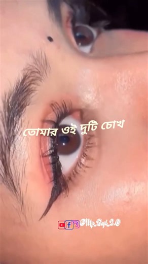 Tomayr Oi Duti Chokh _তোমার ওই দুটি চোখ_Lyrica Video #shorts #trending #explore #lovesong