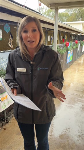 From fire to flood, the challenges just don’t stop!! NHS Board Member and Capital Campaign Chair, Ashley Rodrigue, shares why NOW is the time to make a real impact toward our new facility, especially in the wake of Tuesday’s fire and the flooding we’re battling today. Our animals deserve better, and together we can make it happen. Whether it’s purchasing a commemorative brick, making a long-term pledge, exploring naming opportunities, or countless other ways to get involved, your support truly m