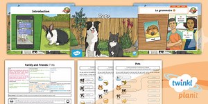 French: Family and Friends: Pets Year 3 Lesson Pack 2