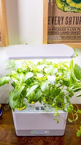 36K views · 170 reactions | Grow fresh herbs all year (no matter the weather!) with this easy-to-use hydroponic indoor garden 華⁠ Get yours now: https://amzlink.to/az0nv6FAsHffd #HGTVShopping⁠ (Prices and availability may change, and we may make  from these links.) | HGTV | Facebook