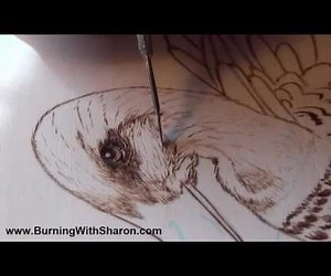 Pyrography: How to Woodburn a Mallard Duck Head