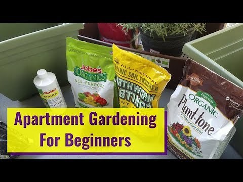 How To Grow An Easy Patio Apartment Container Garden For Beginners