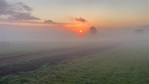 Six runners at Hexham Racecourse (including two races live on ITV Racing ITV4) 12.25pm Biglesisback 1.35pm Kool Raoul & Out Of The Woods 2.45pm Hay Meadow (ITV4) 3.20pm Rattling Road (ITV4) 3.53pm Belvedere Bhoy Which horse is admiring the moon and sun this morning? | Lucinda Russell Racing