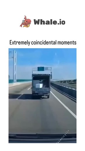 Look at Ayu 🎀 on Instagram: "The post features a 1-minute compilation video of split-screen "coincidental moments," showcasing serendipitous synchronizations like a chicken laying an egg timed perfectly with a passing car or traffic lights mirroring pasta shapes, curated by @Rainmaker1973 to evoke wonder through everyday improbabilities. These clips highlight synchronicity, a concept explored in psychology (e.g., Carl Jung's theory of meaningful coincidences), with the video's viral appeal stem