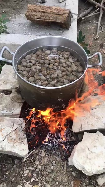 How to Cook Snails Over an Open Fire