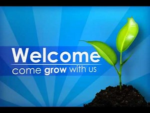 Spring Seedling Video Loop