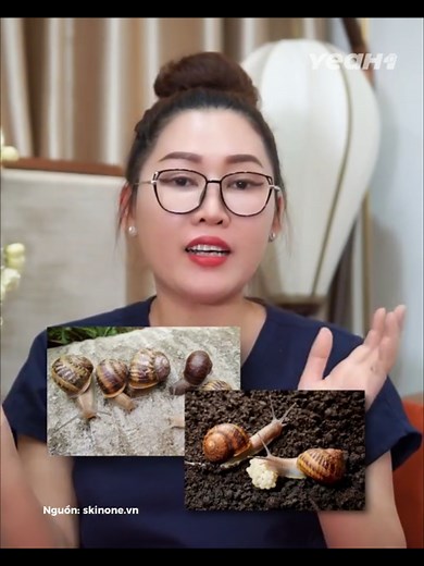 Video của Thiên Kim Đời Thường (@kimmie_xuka) với bản nhạc nhạc nền - LAN ANH - Thiên Kim Đời Thường