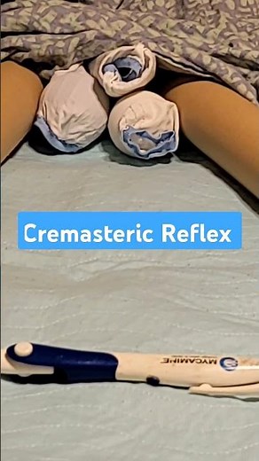 Cremasteric Reflex. Light stroke of the inner thigh of males retracts and elevates ipsilat testicle