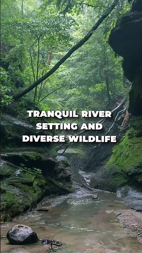 This Indiana Campground Is Full of Shade and Serious Scenery