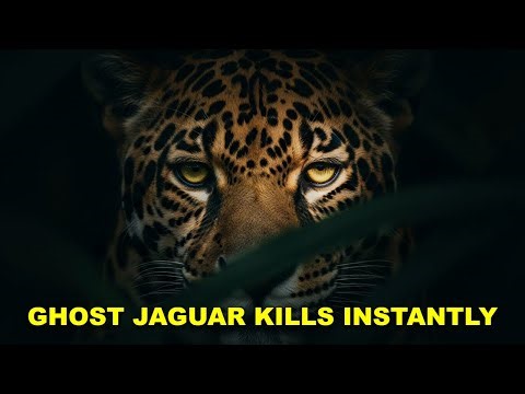 THE GHOST THAT KILLS WITH A SINGLE BITE: UNVEILING THE AMAZON'S SUPREME PREDATOR