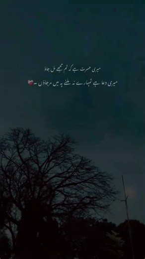 Exploring Modern Poetry Trends