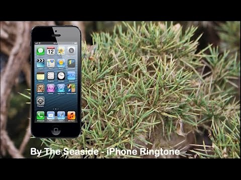 By The Seaside - 8 Hours Version