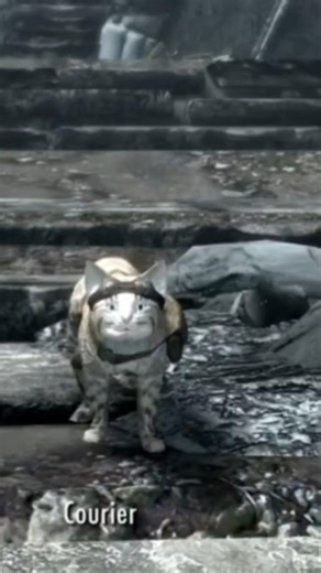#skyrim the better courier