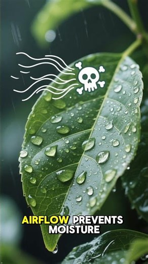 CH5SH2 Climate variables such as temperature, humi