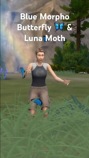 here's how to find the Blue Morpho Butterfly & Luna Moth in the Sims 4