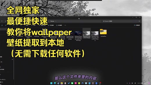 全网独家 最便捷快速 教会你如何找到提取到本地你心仪的wallpaper壁纸图片（无需下载任何软件）