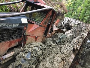 Timberjack 225A compilation video