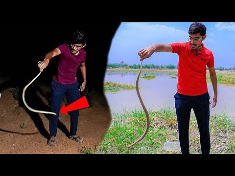 Dangerous Snake Rescue By Crazy XYZ | मुझे साँप ने काट लिया?