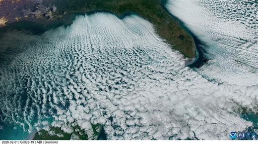 The Arctic Blast that put much of Florida into a deep freeze also created these mesmerizing Cloud Streets caught by National Oceanic and Atmospheric Administration (NOAA)'s #GOESEast. Learn more in our #SatelliteSnapshot: bit.ly/3NVBiT5 | NOAA Satellite and Information Service
