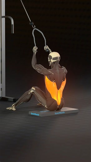 SynerMuscle on Instagram: "💥 Rope Pulling Exercises Explained! Same tool, different angles, different muscle activation. Know the difference #synermuscle #homeworkout"