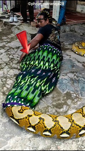 This Giant Snake Has His Best Friend 🐍😱