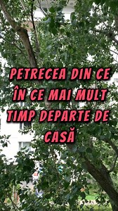 544K views · 5K reactions | Am 61 de ani și, după 33 de ani de căsnicie, soțul meu a decis să plece la o altă femeie pe care a întâlnit-o recent. Acum urmează să divorțăm, iar eu trebuie să mă împac cu noua realitate și să învăț să trăiesc din nou. | Visele devin reale | Facebook