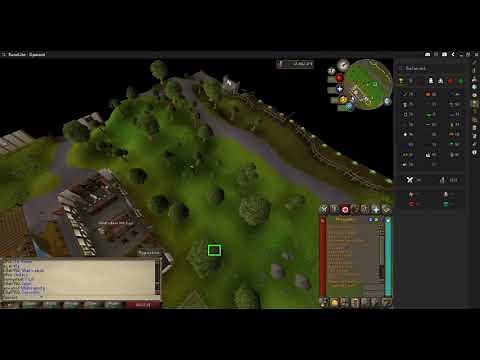 How to get wily cat - OSRS