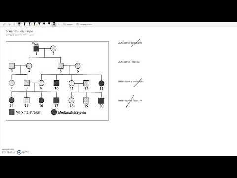 Stammbaumanalyse