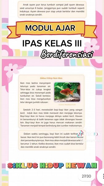 Modul Ajar IPAS Kelas 3: Siklus Hidup Hewan Berdiferensiasi