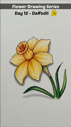 How to draw a Flower | Daffodil Flower Drawing Tutorial #shorts