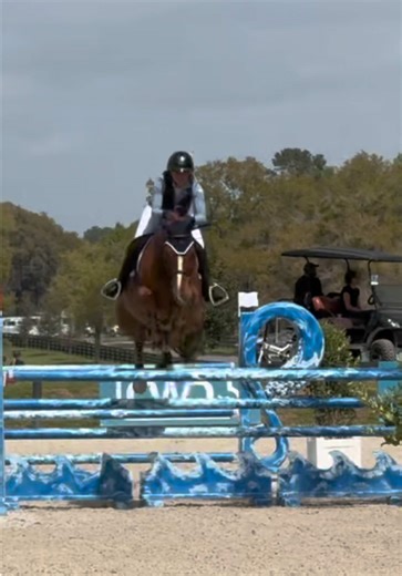 Haribo was beyond perfect today jumping an amazing round in the 1.25 Low Jr/Am classic with just one down to finish 11th!! Soooo happy with him 🥰🍬🧸❤️