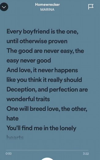 Homewrecker - Marina and The Diamonds Lyrics
