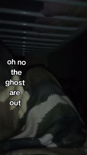 pixie✨ (@pixel1163)’s videos with original sound - 🍃 .Patti. 🍃