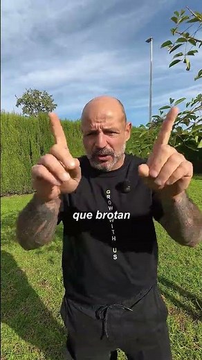 ¿CORTAR una palmera la mata? 🤯