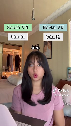 Vietnamese vs Vietnamese - Understanding the Differences