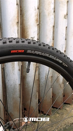 Commute, cruise, climb—one tire does it all. 🐍 MOB Barracuda Folding Tires built to roll where you want, how you want. #MOBPhilippines #Barracuda #Folding #Tires #MTB #Cycling #CyclingLife #fyp | MOB Philippines