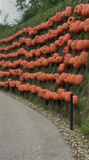 The Jack O’Lantern Pumpkins Extravaganza | Spooky Halloween Surprise #halloween #jackolantern #sp
