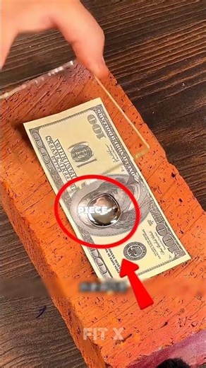 DIY Screwdriver Organizer 🔧 | Genius Workshop Storage Hack #lifehack #shorts #viralvideo