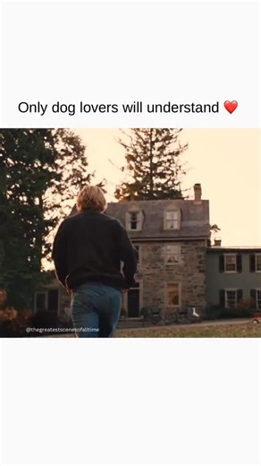 The Greatest Scenes of All Time | Marley & Me was released on this day in 2008 🐶 Marley and Me came out in 2008 and people underestimated it hard. Critics were mixed but... | Instagram