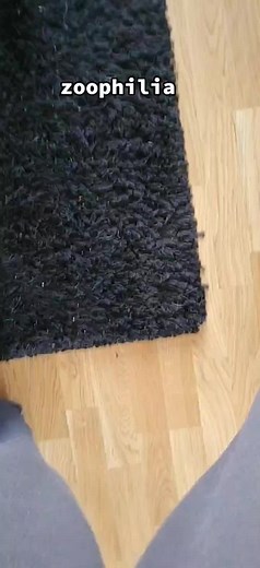 Zoophilia is a paraphilia involving a sexual fixation on non-human animals. Bestiality is cross-species sexual activity between humans and non-human animals. The terms are often used interchangeably, but some researchers make a distinction between the attraction (zoophilia) and the act (bestiality).[1]#fypシ #creep #adhd