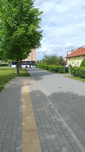 MAN Lion's City Rebus Hst.Hohen Luckow Wendeplatz Linie 106 nach Rostock ZOB 14:51 15.05.26 #rebus